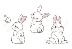 兔子动漫,萌动时光，治愈系动画的奇幻之旅