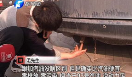 毛多水多视频,揭秘毛茸茸生物的神秘水域生活