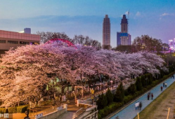 吃瓜爆料抖音网红mc,吃瓜爆料背后的故事与真相